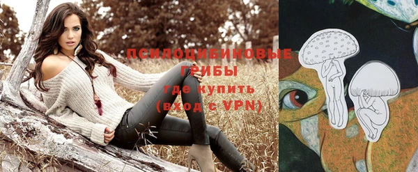 соль ск Абдулино