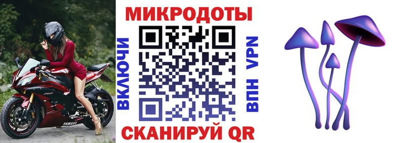 Псилоцибиновые грибы Magic Shrooms  Алейск 